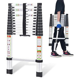 [マラソン期間中ポイント5倍]RIKADE 伸縮はしご 耐荷重150kg 軽量 持ち運びやすい 折り畳み 伸縮梯子 多機能アルミはしご 自動ロック 室内室外両用 スライド式 (シルバー, 5m)