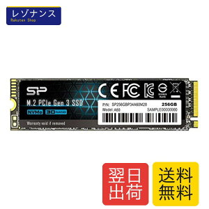 SSD 256GB 3D NAND M.2 2280 PCIe3.0×4 NVMe1.3 P34A60�V���[�Y