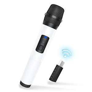 Switch2/Switch/Switch OLED�Ή� ���C�����X�}�C�N USB�}�C�N 2.4G�����`�� �R�[�h���X