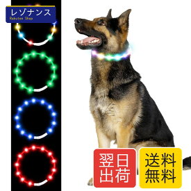 光る首輪 犬用 USB充電式 4つの発光モード 20分充電で最長7時間使用可能 70cm サイズ調節可能 LED 軽量 ペットの安全対策 視認距離500m 小型犬から大型犬まで対応 (虹色)