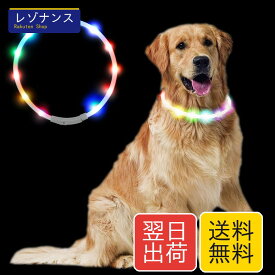 犬用 光る首輪 LED USB充電式 サイズ調整可 3発光モード（レインボー）