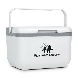 �N�[���[�{�b�N�X �ۗ�{�b�N�X 5L ���^ �^��f�M �ۉ� ���y�� �n�[�h�N�[���[ 0.85kg Forest dawn