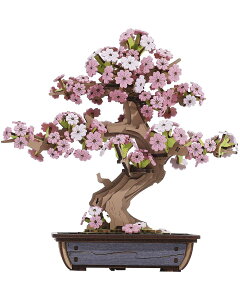 ���̃p�Y�� 3D�ؐ��p�Y�� �C���e���A���� DIY�H��L�b�g ���S�Ҍ��� �m��ߋ� ���w�� ��l�p �s���N Rolife