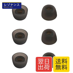 A-Focus �C���[�s�[�X �C���[�`�b�v �����Z��TWS���� ���S���C�����J�i���^�C���z���p WF 1000XM4�p WF 1000XM3�p SoundLiberty�p Sand Core ���o�e�B2�p Truengine SE�p 3�y�A TWS�p S�T�C�Y