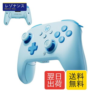 Switch 2 Pro�R���g���[���[ BIGBIG WON CHOCO