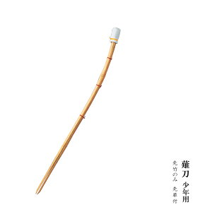 Zp Np |̂݁ivtj 㓁 ȂȂ