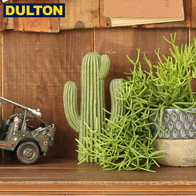 DULTON CACTUS E 【品番：K655-657E】 ダルトン インダストリアル アメリカン ヴィンテージ 男前 カクタス E