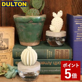 DULTON カクタス フレグランス ディフューザー A CACTUS FRAGRANCE DIFFUSER A ELEGANT PEONY G675-824A-EP ダルトン