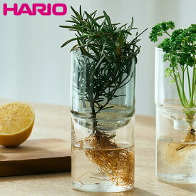 【店内全品ポイント10倍】HARIO 「ガラスのある生活」 ガラスの花器 クリアブラック GK-200-TB ハリオ