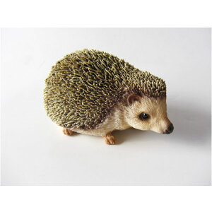 nlY~ u ybgoN Pet Bank HEDGEHOG nlY~  
