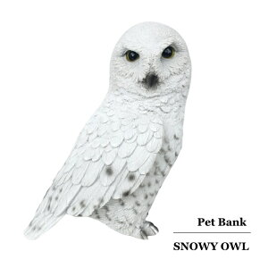 �V���t�N���E �u�� ������ �y�b�g�o���N �X�m�[�E�B�I�E�� Pet Bank Snowy Owl