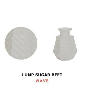 t[x[X vVK[ r[g EG[u Lump Sugar BEET WAVE ԕr KX  ֑}