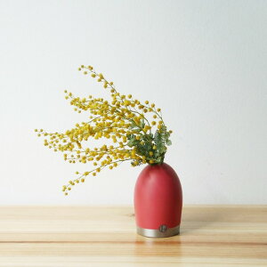 t[x[X A~x[X } EH[^[ Alx Vase Maru Water melon ֑} A~ ԕr 