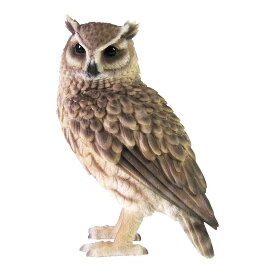 ふくろう 置物 ペットバンク Pet Bank Long eared Owl トラフズク フクロウ 置物 リアル 貯金箱