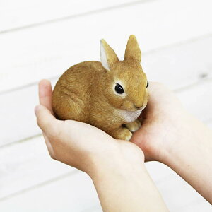 ������ �u�� �y�b�g�o���N Pet Bank RABBIT ���r�b�g ���� ������