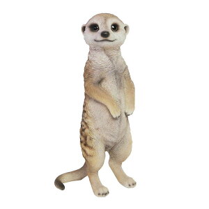 �~�[�A�L���b�g �u�� �y�b�g�o���N Pet Bank Meerkat �~�[�A�L���b�g �u�� ������