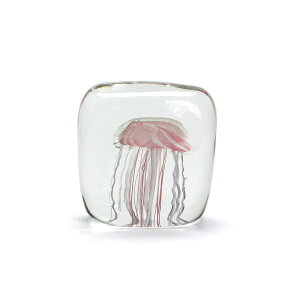 KX IuWF NQ Jellyfish Twisted Leg Square Pink WF[tBbV cCXgbO y[p[EFCg KX u CeA IuWF   _   킢