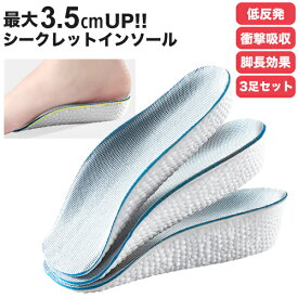 【到着後レビューを書いて半額クーポン】シークレットインソール インソール 衝撃吸収 セット 3点セット 3足セット メンズ レディース 男女兼用 1.5cm 2.5cm 3.5cm 身長アップ 偏平足予防