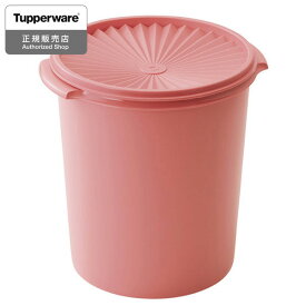 Tupperware マキシデコレーター ソフトシルク 5.5L 保存容器 B0351 タッパーウェア