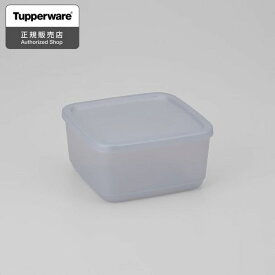 Tupperware キュービックス スクエア 650mL シルバー 密閉容器 保存容器 B1074 タッパーウェア