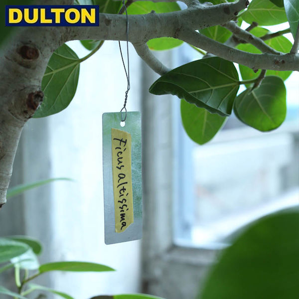 植物にも 名前や誕生日がある DULTON 予約販売 ガルバナイズド 百貨店 プラント マーカー レクタングル 品番：K955-1228 アメリカン インダストリアル ダルトン W38 ヴィンテージ 男前