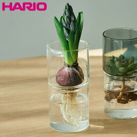 【店内全品ポイント5倍〜10倍】HARIO 「ガラスのある生活」 ガラスの花器 クリア GK-200-T ハリオ
