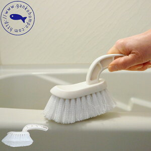 yTtzk|Cg2{l( C܂ oXuV dグ )  { i`n} |   Vv GR  z C|  oXN[i[ C oX[ 