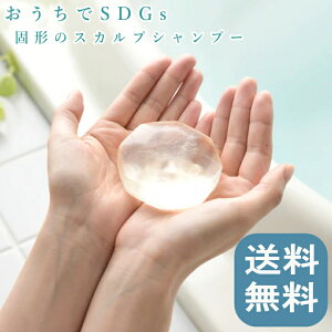 yTtz( XJv Vv[ o[ koharubiyori ) ta Ō` Vv[ [jE xKbg IW _A~m_ g[gg RfBVi[ sv XJvPA ь 