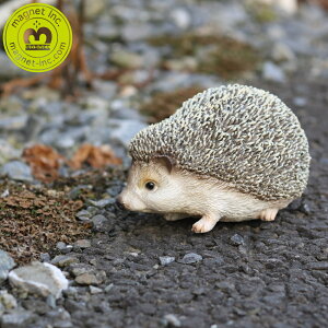 yTtz( nlY~̂𗧂 PET BANK HEDGEHOG ybgoN wbWzbO )  K Aj} 킢 CeA  k u  fXN  gC  