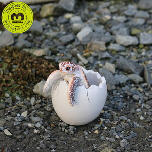 yTtzy|Cg 10{z( Y܂ꂽẴyX^h qEgJQEJ BOB UP STAND {u Abv X^h ) Aj} 킢 CeA  k u  fXN  g