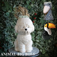 【特典付】〔ポイント2倍〕( Animal BIG BOSS ハシビロコウ ) グローバル アロー フラワーベース 花瓶 動…