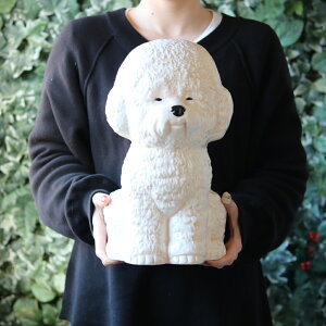 yTtzk|Cg2{l( Animal BIG BOSS nVrRE ) O[o A[ t[x[X ԕr  Aj} CeA AeB[N   킢 _ Vv k 