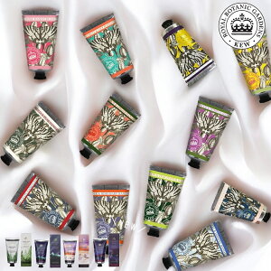 yTtz( CObV\[vJpj[ nhN[ 75ml L[K[f ) KEW GARDEN K戵 Oag[fBO tOX  oX C  킢 CO CX^