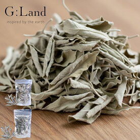 【特典付】【メール便送料無料】選べる2タイプ( G:Land ホワイトセージ Deep Cleanse White Sage 10g / 30g ) greenery 初心者 初めて 入門 ホワイトセージ ヨガ 瞑想 ハーブ 聖なるハーブ シンプル おしゃれ かわいい 癒し リビング 寝室 ヨガ ストレッチ 空気浄化