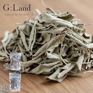 �y���T�t�z�y���[���֑��������z�I�ׂ�2�^�C�v( G:Land �z���C�g�Z�[�W Deep Cleanse White Sage 10g / 30g ) greenery ���S�� ���߂� ���� �z���C�g�Z�[�W ���K �ґz �n�[�u ���Ȃ�n�[�u �V���v�� ������