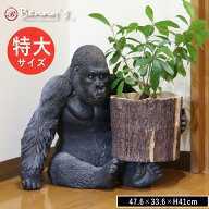 【特典付】【ポイント 10倍】( 特大 ゴリラ ポット付き ) 紅石 インテリア かわいい 玄関 植木鉢 プラン…