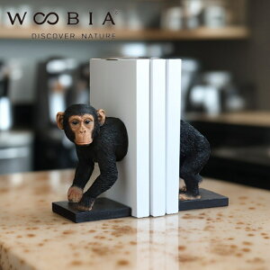 yTtzy10%OFFN[|z( `pW[̖{ WOOBIA ) E[rA `pW[ObY ubNX^h { Ps{ rWlX ȏ G Vs [ fXN rO   G It