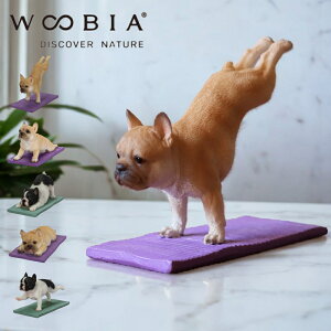yTtz( Kyރt`uhbO WOOBIA ) E[rA uhbOObY @؂ጢ t`u ʔ Ԃ u fXN rO   G ItBX 낢 