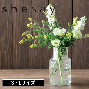 yTtzy|Cg 10{z( shesay LĊ₷[YKX t[x[X P[g S / L ) V[\[ u̔ ԕr t[x[X KX ĐKX TCNKX GR 