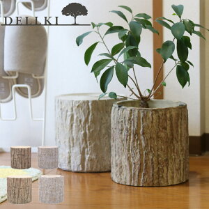 yTtzy|Cg10{z( Landa _X^h S / L ) fL u Aؔ Jo[ A t[x[X X^h   킢 CeA _ Vv k rO 