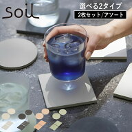 【特典付】【メール便送料無料】【ポイント10倍】選べる( soil ソイル COASTER large 各種 ) 正規品 珪藻…