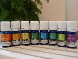 yTtzy݌Ɍ 20%OFFN[|zy[12{܂OKz( v` GbZV IC ) A} S   ~g O[vt[c [Y}[ x_[ IW eB