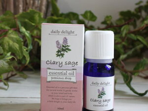 yTtzy݌Ɍ 20%OFFN[|zdaily delight 100% sA GbZVIC NZ[W GPP 016-21-012