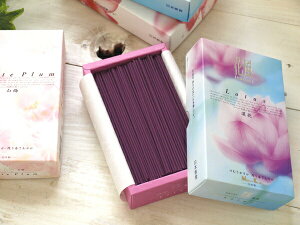 yTtzy݌Ɍ 20%OFFN[|z (ԕika-fuhjol ){ ~ @ ANA  J[l[V x_[ Ђ̂