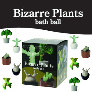 yTtzy15%OFFN[|z( ʎ rU[vc oX{[ ) 1 gݍ킹 R Pi ΂甄 C   }XRbg oX ʔ oGeB zCgf[ 