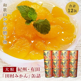 楽天市場 国産 フルーツ缶詰の通販