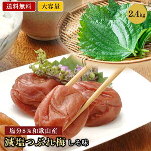 yGg[ŕK10{|CgizIB썂~  e 2.4kg Ԃ~ a̎R ~ ~ 8 NG_ 嗱 V MǑ΍    ̓ ̓ v[