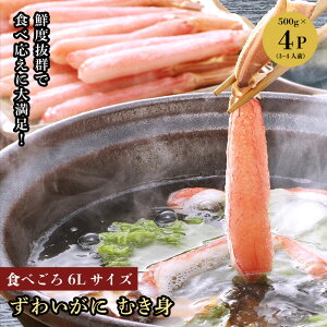 킢 ނg YCKj Jj 500g × 4P 2L 60{  Ԃ hg VՂ o^[Ă