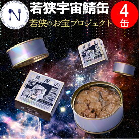 福井 若狭宇宙鯖缶 サバ缶 フジテレビ ドラマ 月9 【サバ缶、宇宙へ行く】ゲツク 北村匠海 実話 究極の保存食 マーメイド 若狭高校 醤油味付け お試し 90g 4缶