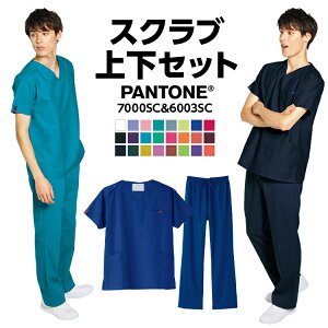 yȃXNuߏ㉺Zbgzjp PANTONE XNu pc 7000sc 6003sc  傫TCY pg pg[